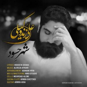 دانلود آهنگ علی زند وکیلی شهر حسود دانلود آهنگ علی زند وکیلی شهر حسود