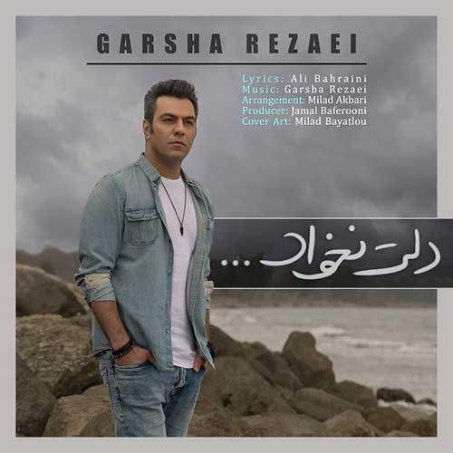 دانلود آهنگ گرشا رضایی دلت نخواد دانلود آهنگ گرشا رضایی دلت نخواد