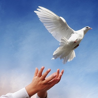 دانلود آهنگ ابی تصمیم دانلود آهنگ ابی تصمیم