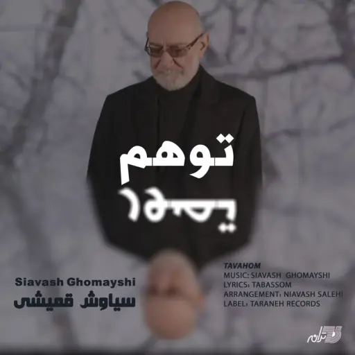 سیاوش قمیشی بارون دانلود آهنگ سیاوش قمیشی توهم