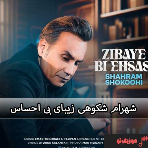 دانلود آهنگ شهرام شکوهی نازنین شهرام شکوهی زیبای بی احساس