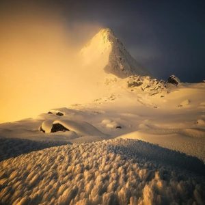 اهنگ دورم می کنی مجبورم میکنی اهنگ دورم می کنی مجبورم میکنی