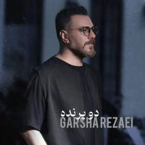 دانلود آهنگ گرشا رضایی دو پرنده دانلود آهنگ گرشا رضایی دو پرنده