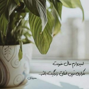 اهنگ یه جوری عاشقم که با تو حاضرم تا خود ماه برم اهنگ یه جوری عاشقم که با تو حاضرم تا خود ماه برم