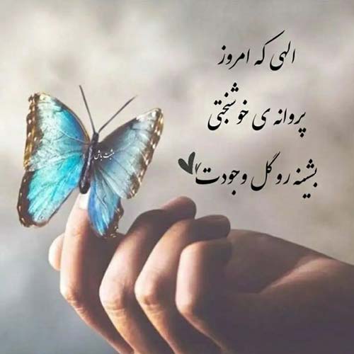 نوان فرشته شبی با خیال تو هم خونه شد دل