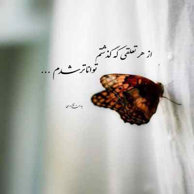 دانلود آهنگ حسین توکلی تو را میخواهم