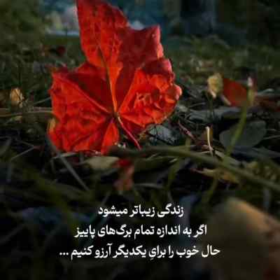 دانلود آهنگ ایرج خواجه امیری دیشب با دلم خلوتی داشتم