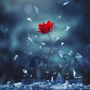 دانلود آهنگ دیر فهمیدم که جای شاه ماهی برکه نیست