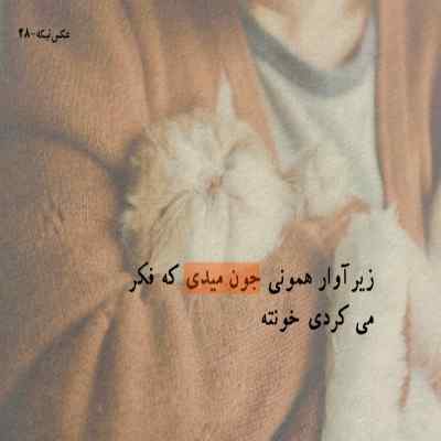 دانلود آهنگ علیرضا قربانی فکر زنجیری کنید ای عاقلان بوی گیسویی مرا دیوانه کرد