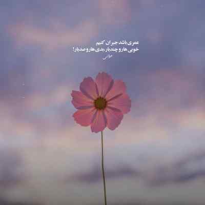 دانلود آهنگ برو پیش اون دیگه میای پیش من حالت میگیره
