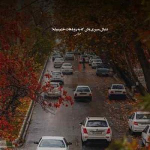 دانلود آهنگ دلبر من تو عشق ناب منی مصطفی ابراهیمی ( اصلی) دانلود آهنگ دلبر من تو عشق ناب منی مصطفی ابراهیمی ( اصلی)