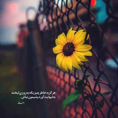 دانلود آهنگ فریدون آسرایی یه روز از تو جون گرفتم یه روز از تو دل بریدم