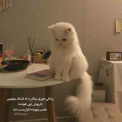 دانلود آهنگ محمدرضا شجریان مرا به هیچ بدادی شجریان
