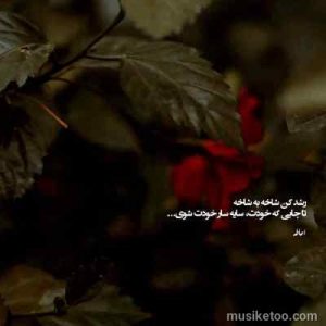 دانلود اهنگ شرمت باد ای دستی که بد بودی بدتر کردی (اورجینال) دانلود اهنگ شرمت باد ای دستی که بد بودی بدتر کردی (اورجینال)