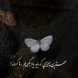 دانلود اهنگ تو منه دریا ببین با این که جویبارم فقط ( اورجینال ) دانلود اهنگ تو منه دریا ببین با این که جویبارم فقط ( اورجینال )