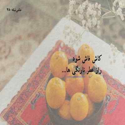 دانلود آهنگ دیدم با غریبه ها بهتره حالت پشیمونم کردم آدم حسابت