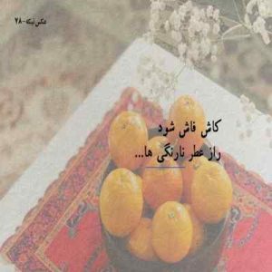 دانلود اهنگ دیدم با غریبه ها بهتره حالت پشیمونم کردم آدم حسابت ( نسخه اصلی)