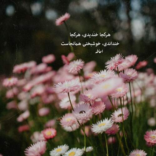 دانلود آهنگ حالا تو دست بی صدا دشنه ی ما شعر و غزل