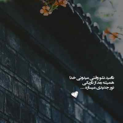 دانلود آهنگ خنک آن قماربازی که بباخت
