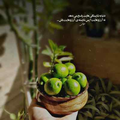دانلود آهنگ مرتضی پاشایی منو ببخش اگه بچگی کردم