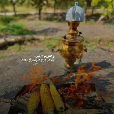 دانلود آهنگ نوان مگه یادت نیست همه حسودیشون میشد به ما
