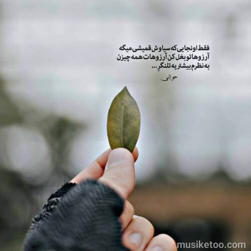 دانلود آهنگ باز به سرم زد خاطره هامون