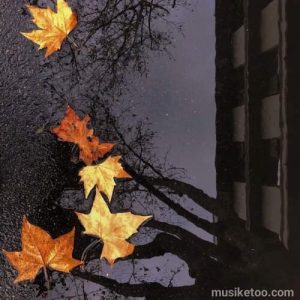 دانلود اهنگ آه اگر روزی نگاه تو ( نسخه با کیفیت ) دانلود اهنگ آه اگر روزی نگاه تو ( نسخه با کیفیت )