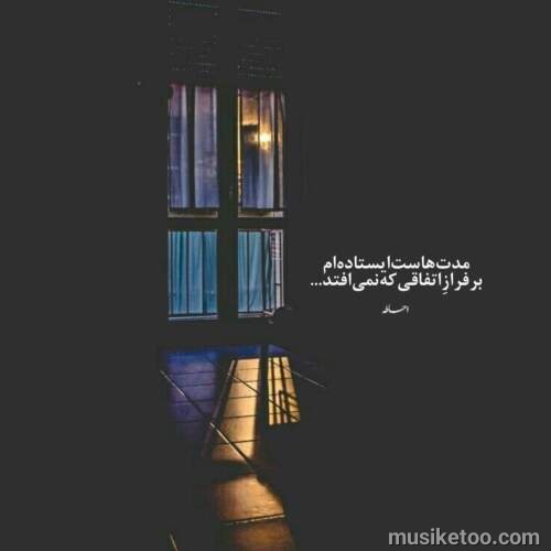 دانلود آهنگ دلتنگم اهل دیار دردم دنبال همدرد خودم میگردم رضا نیک فرجام