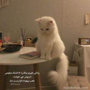 دانلود اهنگ شهرام کاشانی بنام ( مگه من دل ندارم ) کیفیت 320 دانلود اهنگ شهرام کاشانی بنام ( مگه من دل ندارم ) کیفیت 320