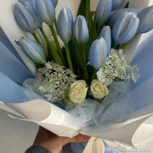 دانلود اهنگ از پشت صحنه میگن امروز تولدمه ( نسخه 320) دانلود اهنگ از پشت صحنه میگن امروز تولدمه ( نسخه 320)
