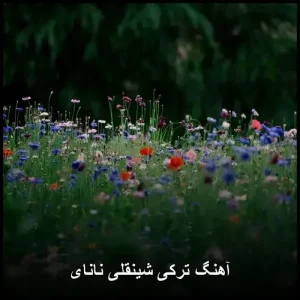 آهنگ ترکی شینقلی نانای | ترکیب عاشقانه موسیقی آهنگ ترکی شینقلی نانای | ترکیب عاشقانه موسیقی