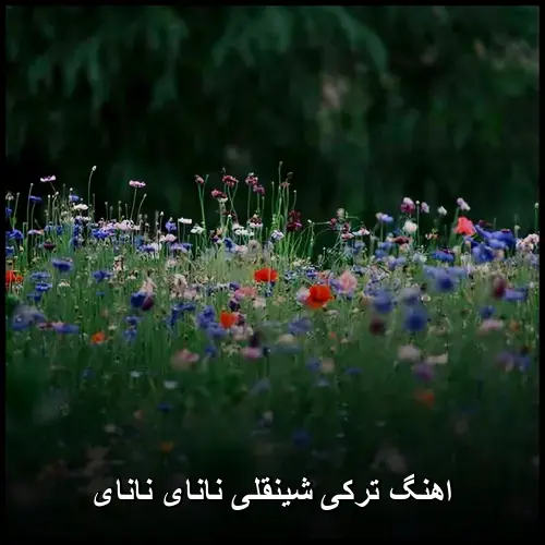 نانای نانای - ترکی شینقلی