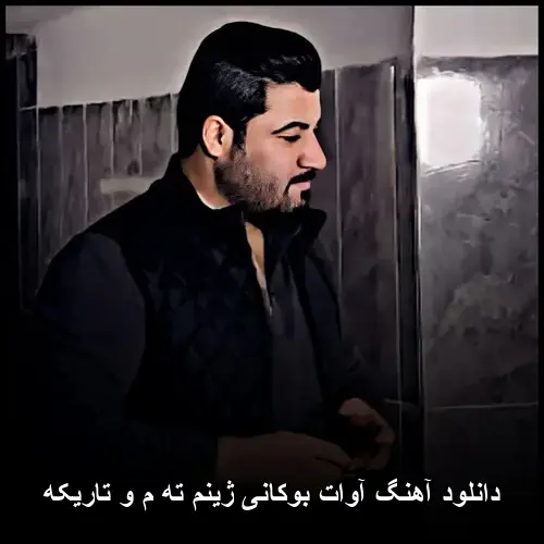 ژینم ته م و تاریکه - آوات بوکانی