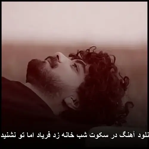 شب خانه زد فریاد اما تو نشنیدی - در سکوت