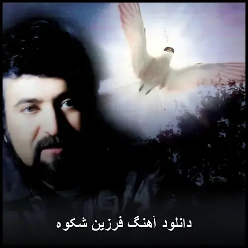 شکوه - فرزین