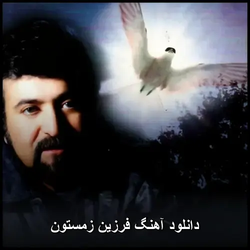 زمستون - فرزین