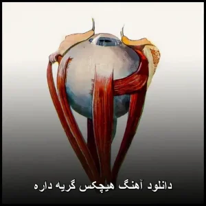 دانلود آهنگ هیچکس گریه داره | با کیفیت 320 و متن ترانه دانلود آهنگ هیچکس گریه داره | با کیفیت 320 و متن ترانه