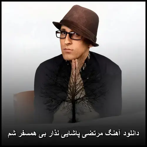 نذار بی همسفر شم - مرتضی پاشایی