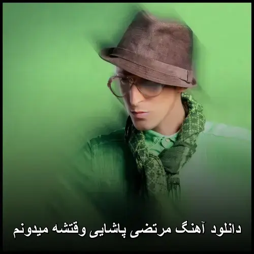 وقتشه میدونم - مرتضی پاشایی