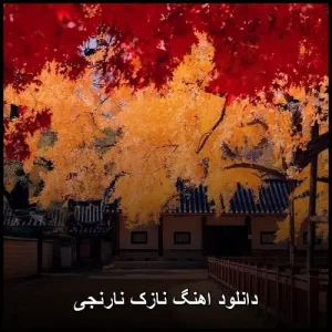 دانلود اهنگ نازک نارنجی | پاپ mp3 دانلود اهنگ نازک نارنجی | پاپ mp3