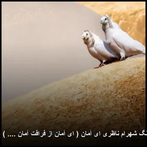 دانلود آهنگ شهرام ناظری ای آمان | تصنیف ماندگار عاشقانه دانلود آهنگ شهرام ناظری ای آمان | تصنیف ماندگار عاشقانه