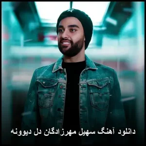 دانلود آهنگ سهیل مهرزادگان دل دیوونه | کیفیت 320 و متن ترانه دانلود آهنگ سهیل مهرزادگان دل دیوونه | کیفیت 320 و متن ترانه