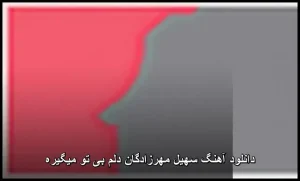 دانلود آهنگ سهیل مهرزادگان دلم بی تو میگیره | پاپ احساسی دانلود آهنگ سهیل مهرزادگان دلم بی تو میگیره | پاپ احساسی