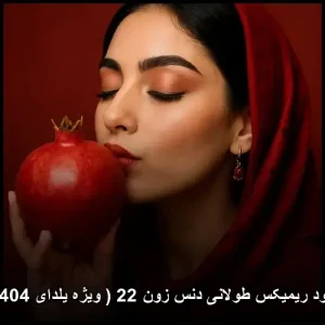 دانلود ریمیکس طولانی دنس زون 22 ( ویژه یلدای 1404 ) دانلود ریمیکس طولانی دنس زون 22 ( ویژه یلدای 1404 )
