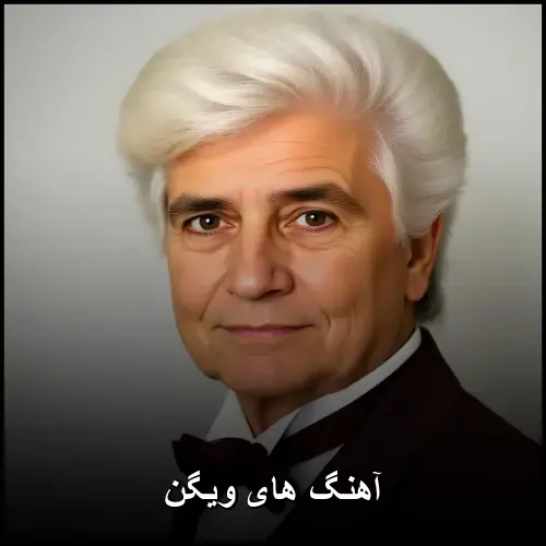 تصویر آهنگ های ویگن | گلچین بهترین ترانههای شاد و قدیمی - دانلود با کیفیت 320