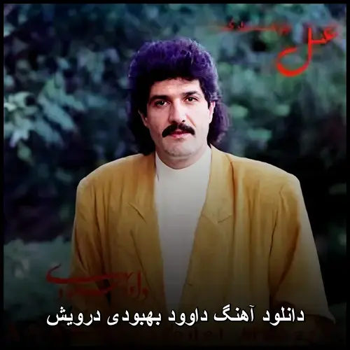 بهبودی درویش - داوود