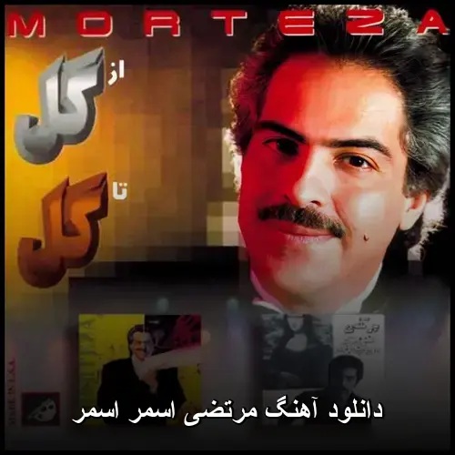 Pazzo pazzo - مرتضی