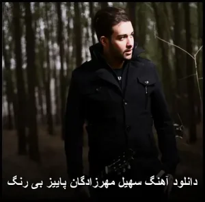 دانلود آهنگ سهیل مهرزادگان پاییز بی رنگ | با کیفیت عالی و متن ترانه دانلود آهنگ سهیل مهرزادگان پاییز بی رنگ | با کیفیت عالی و متن ترانه