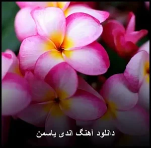 دانلود آهنگ اندی یاسمن | کیفیت ۳۲۰ و متن کامل ترانه دانلود آهنگ اندی یاسمن | کیفیت ۳۲۰ و متن کامل ترانه