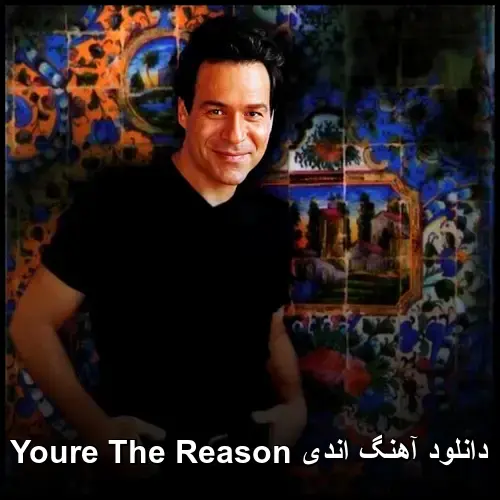 The Reason - اندی Youre